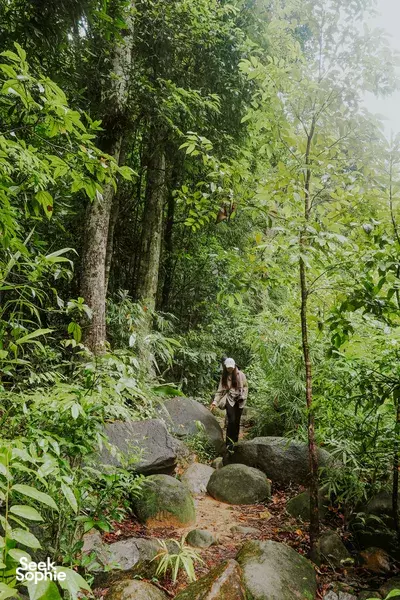 Khao Sok Jungle Trek + Hidden Falls with Wildlife Expert