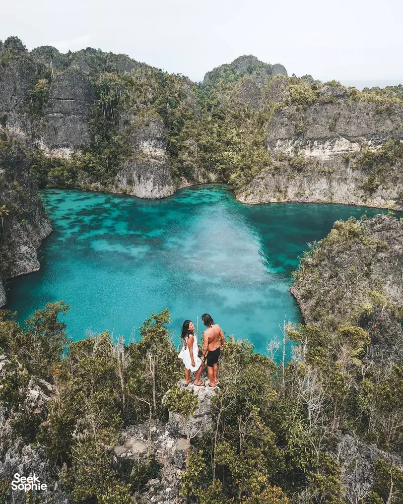 Seek Sophie option picture