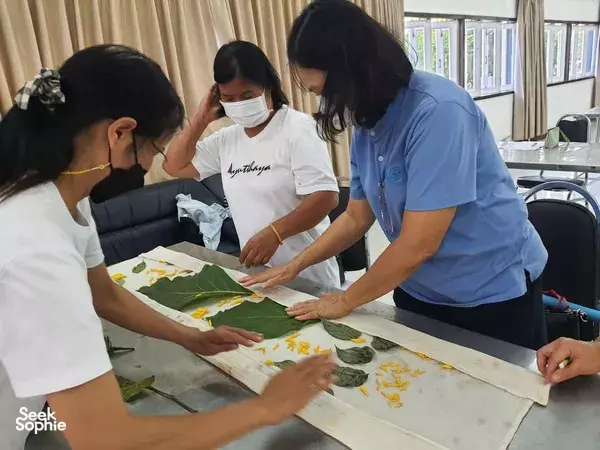 Hidden Eco-Print Workshop Near Chiang Mai Forests