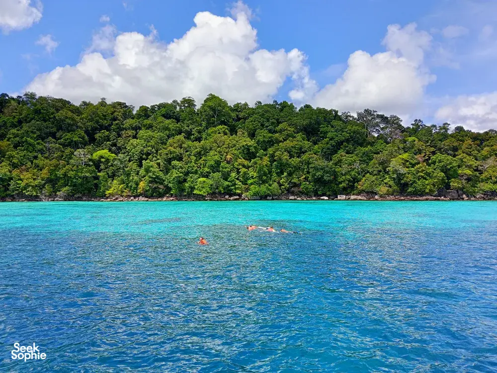 Seek Sophie option picture