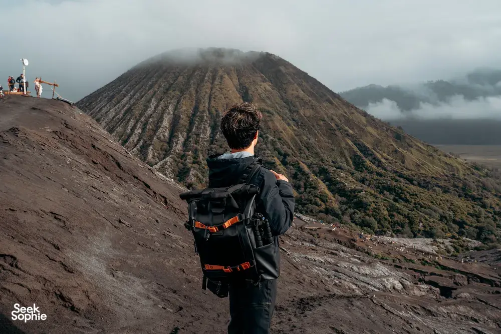 Seek Sophie option picture