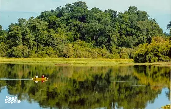 Menginap 2H1M di Cat Tien | Bangun dengan Suara Owa & River Cruise Satwa Saat Sunset