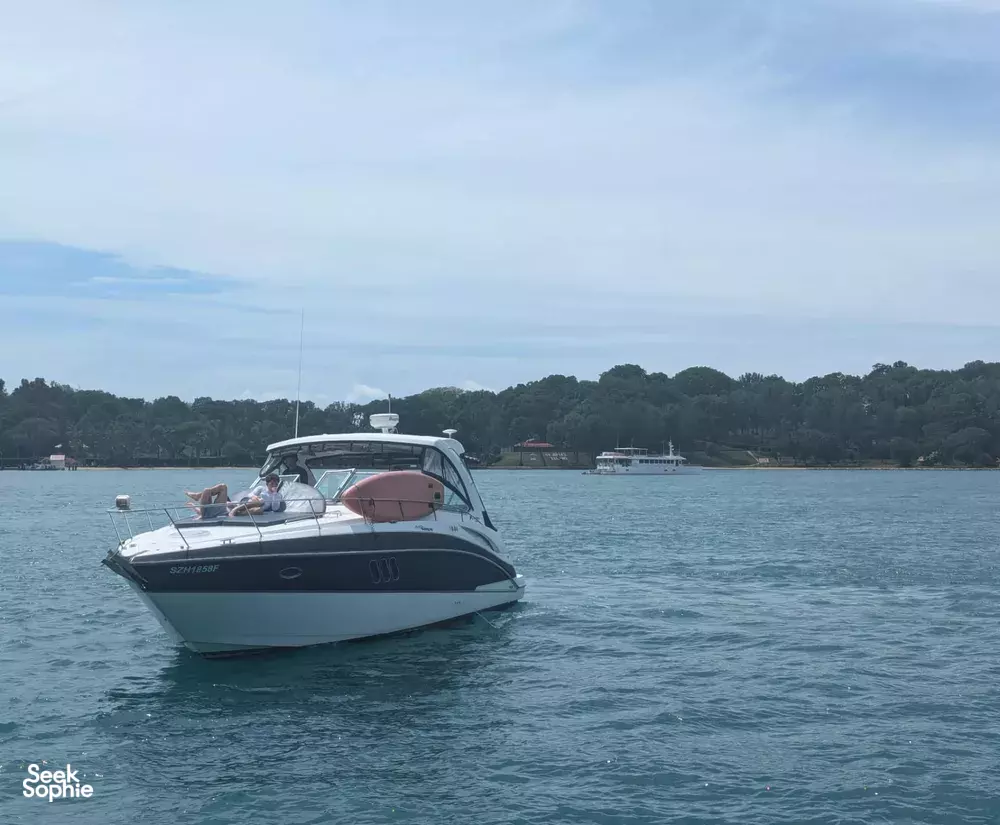 Seek Sophie option picture