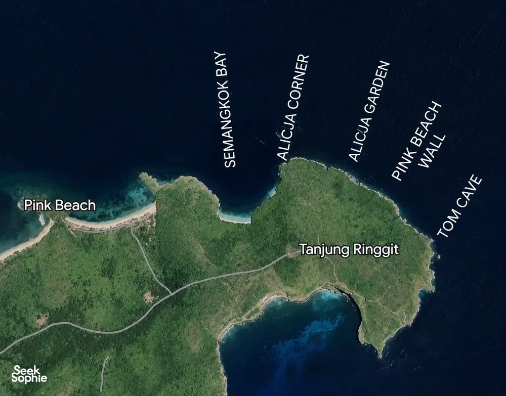 Route map of Lombok showing dive stops along the coast, including Pink Beach and Tanjung Ringgit, plus other labelled sites