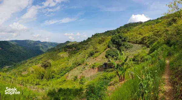 1 Day Kinabalu Foothills Jungle Trek + Dusun Village Lunch