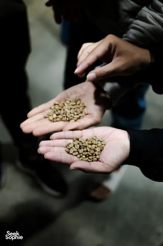 Hands holding piles of small grains at a Hoi An morning market stall during a motorbike tour of local trades