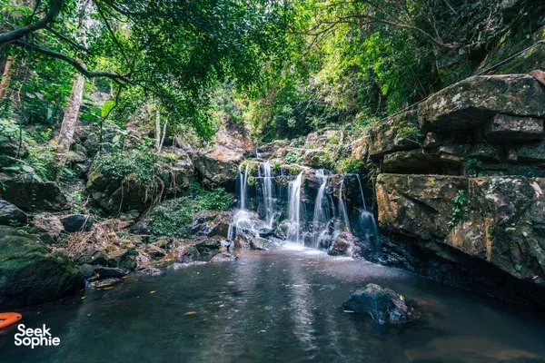 Phong Nha Easy Day Trip | Botanical Walk, Paradise Cave, Mud Bath & Zipline Fun