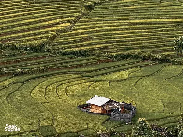 Explore Muong Hoa Valley | Very Rare Sapa Motorbike Tour
