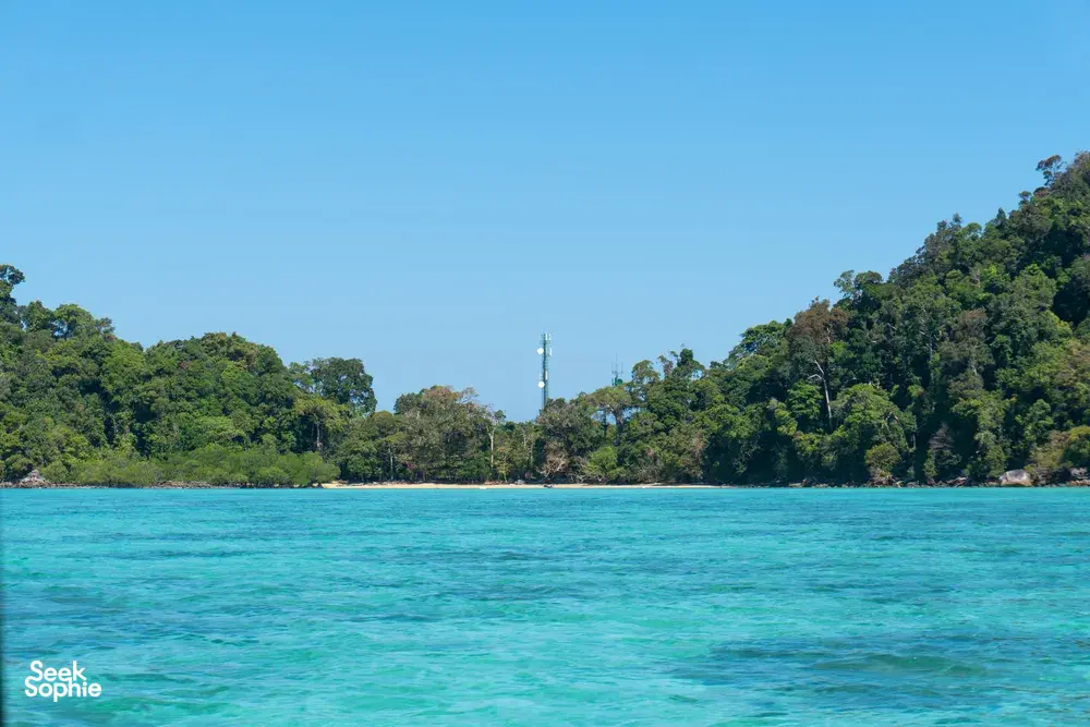 Seek Sophie option picture