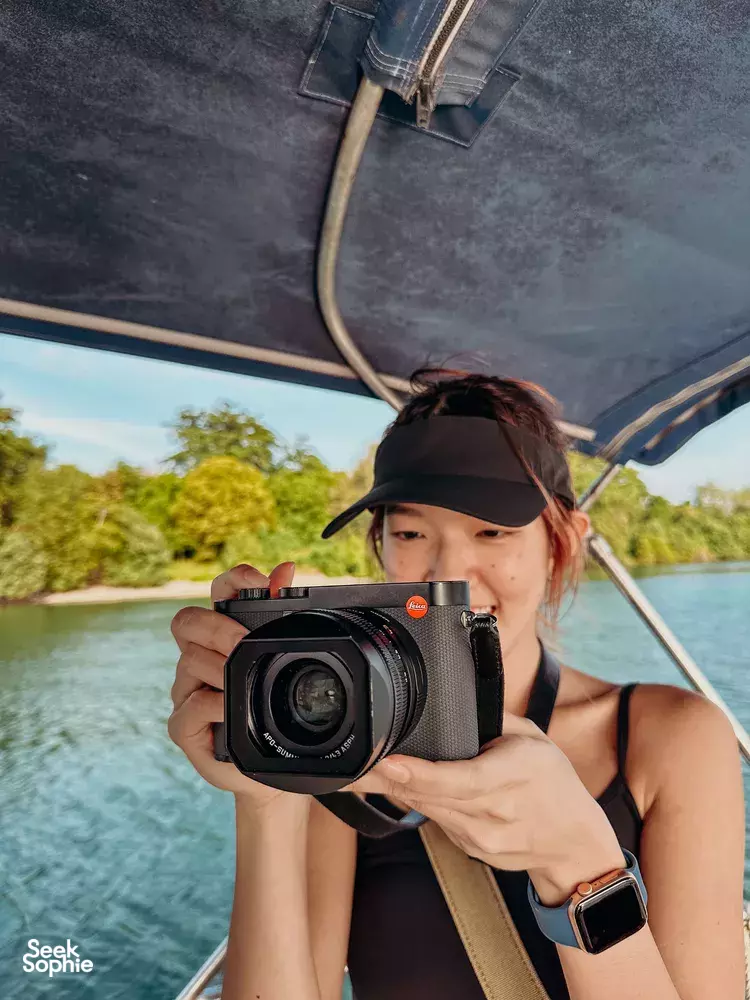 Seek Sophie option picture