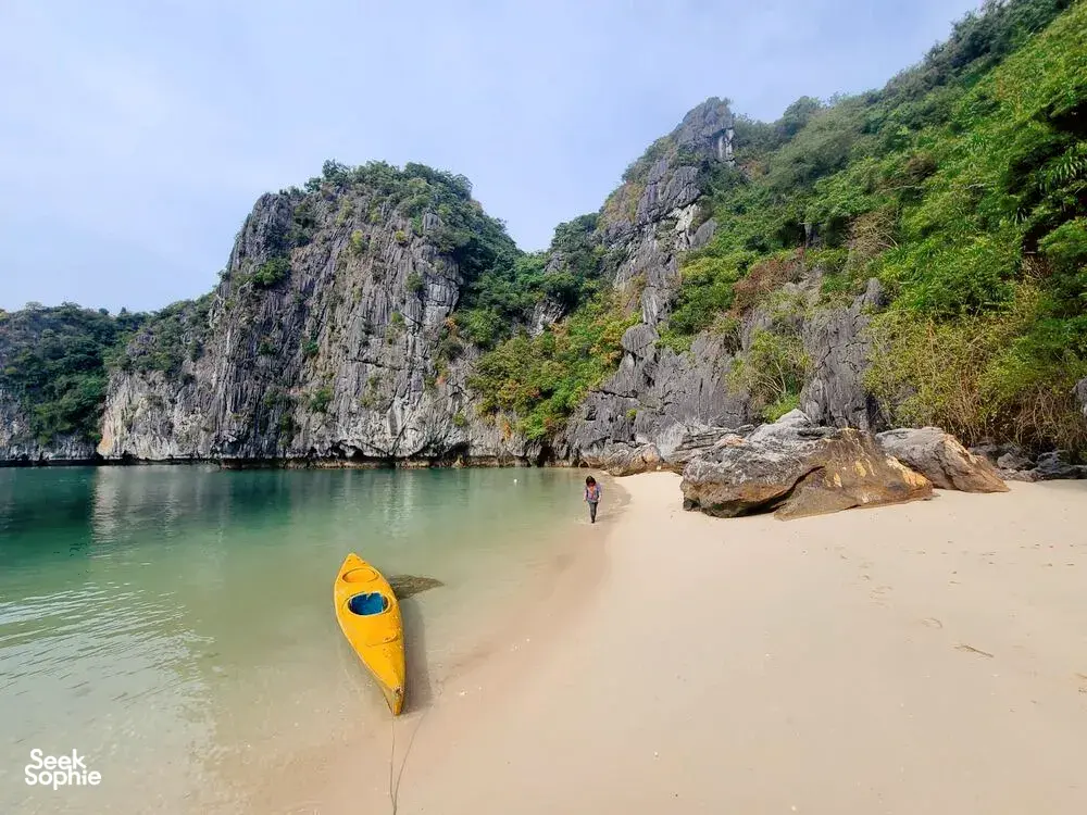 Seek Sophie option picture