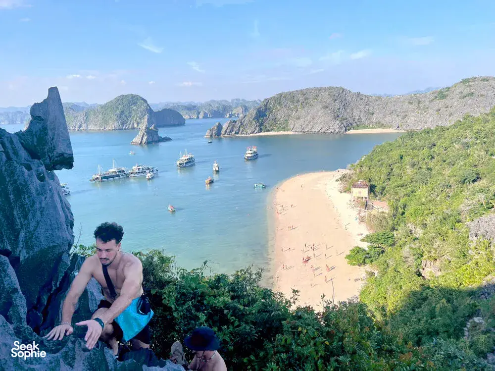 Seek Sophie option picture