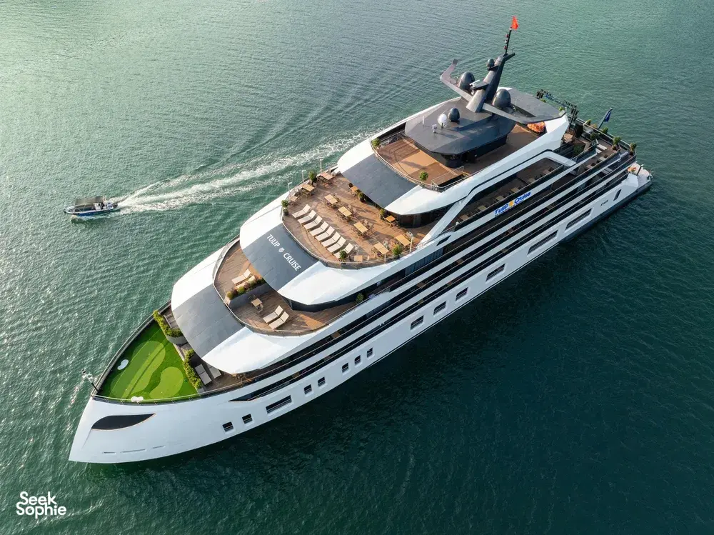 Seek Sophie option picture