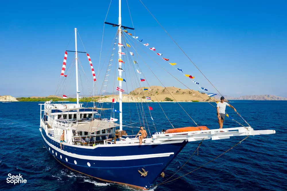 Seek Sophie option picture