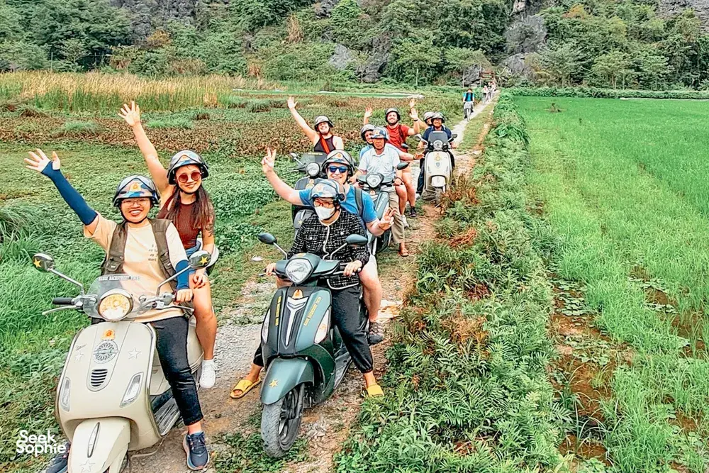 Seek Sophie option picture