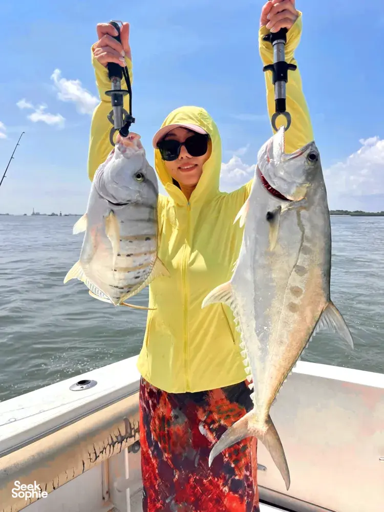 Seek Sophie option picture