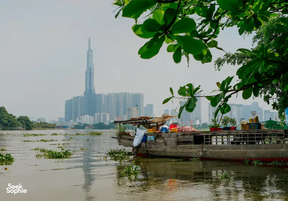 Seek Sophie option picture