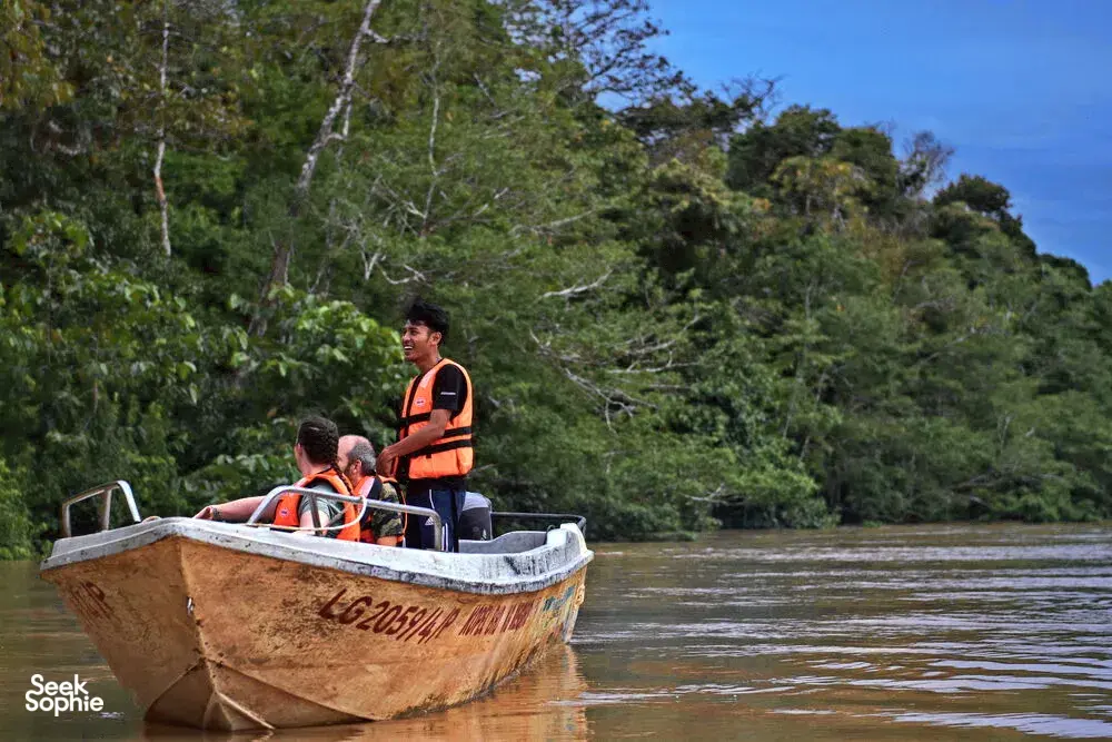 Seek Sophie option picture