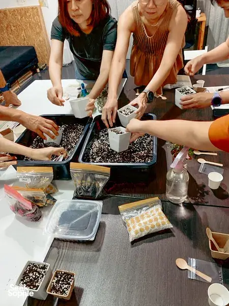 Build Your Own Edible Garden | For Teams