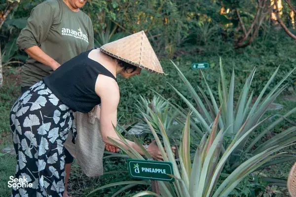 Balinese Vegan Cooking | Gorgeous Sidemen Garden 