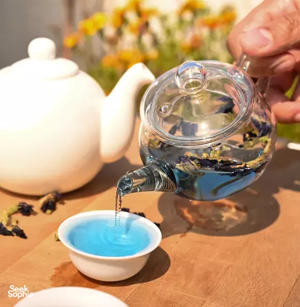 Garden-to-Table Workshop: Tea, Sodas & Roselle