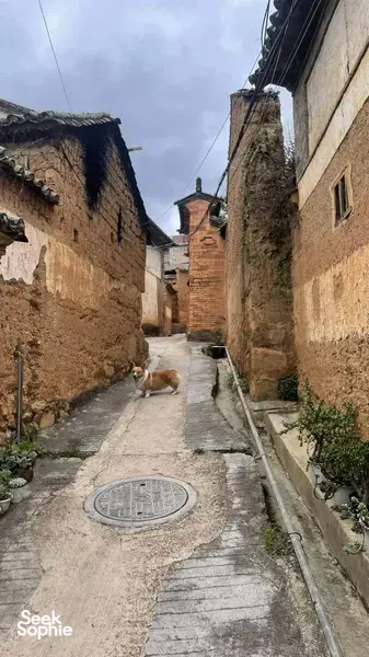 Narrow cobbled alley in an ancient pottery village in Shangri-La, with weathered mud-brick houses and a stone drainage channel