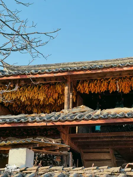 Rustic Lijiang village house with dried chillies hanging under the tiled eaves, capturing everyday life on the Yi & Naxi trek