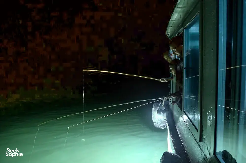 Seek Sophie option picture