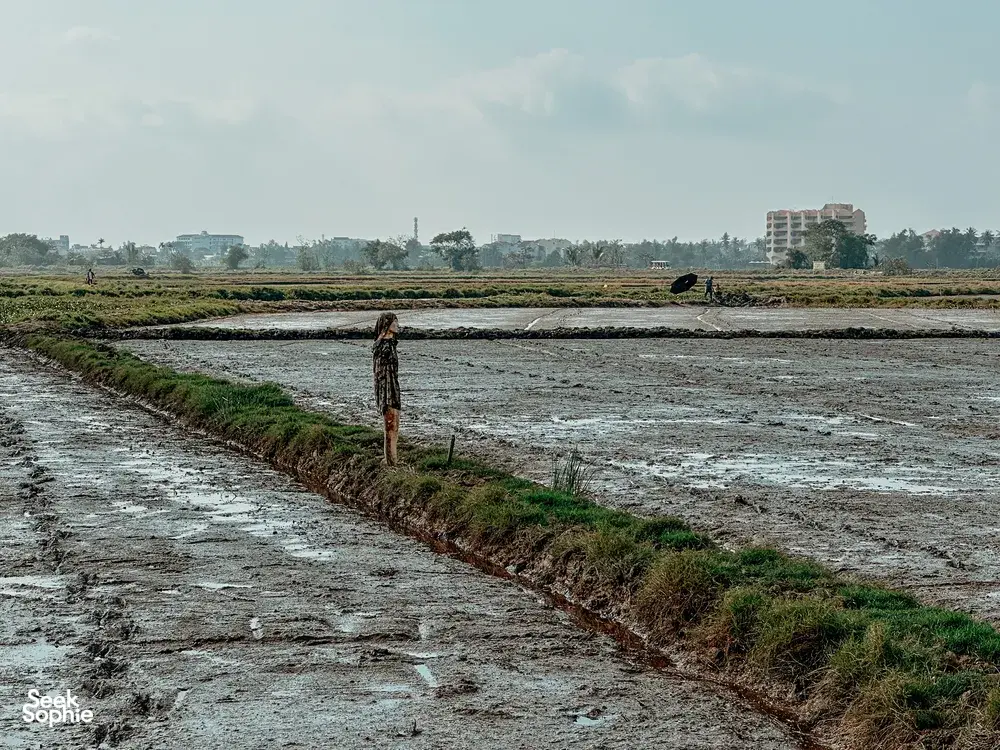 Seek Sophie option picture