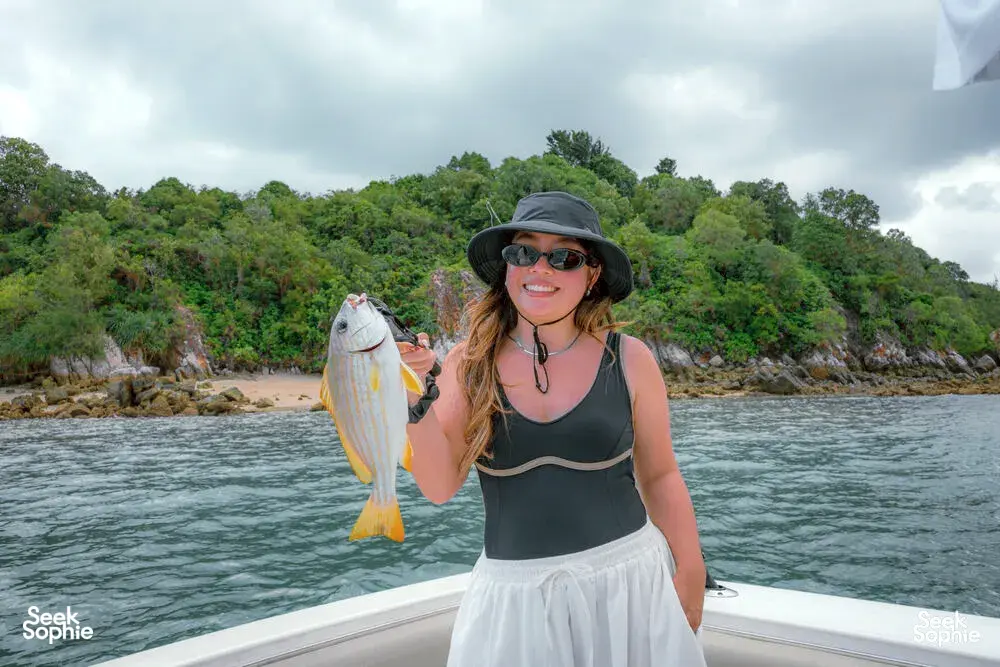 Seek Sophie option picture