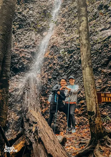 The Lost Jungle Hike of Sabah | From Kota Kinabalu 