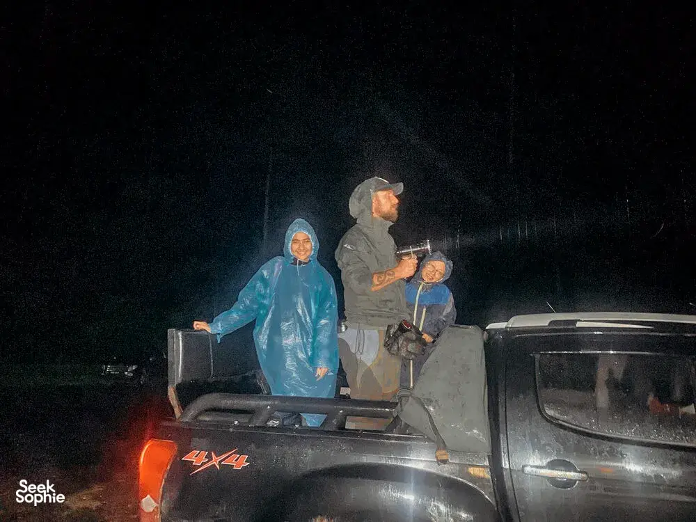 Seek Sophie option picture