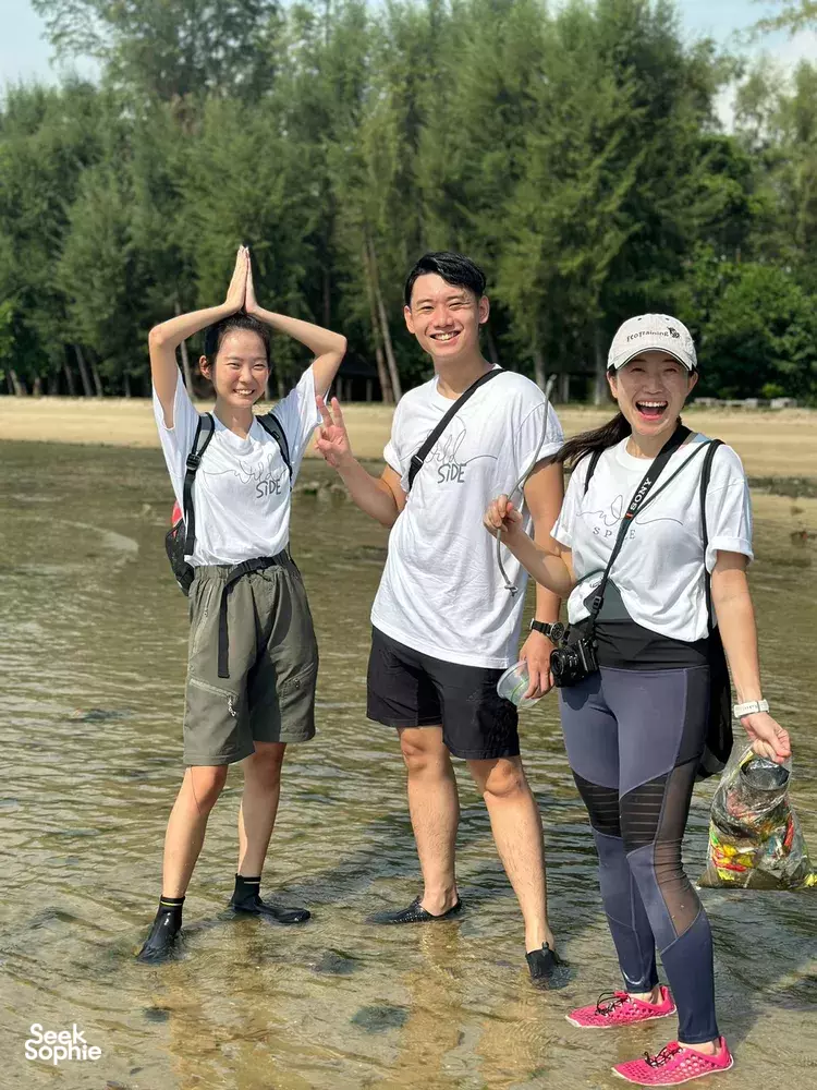 Seek Sophie option picture