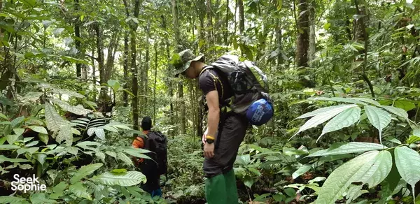 Wildlife Walks in Medan