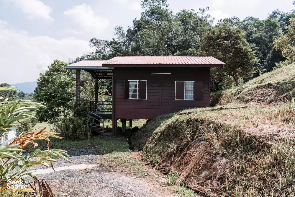 Seek Sophie option picture