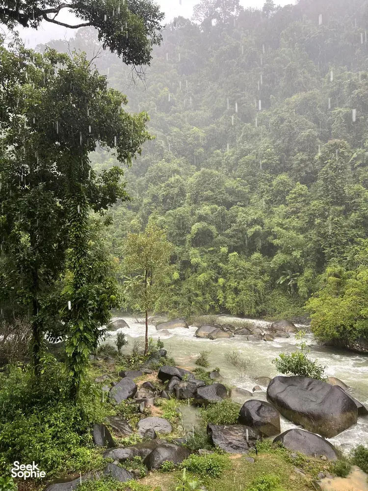 Misty rainforest hillside and river with boulders during a wildlife-guided jungle trek in Khao Sok National Park