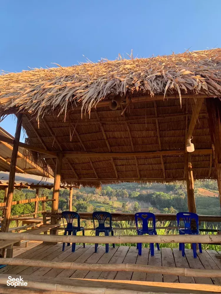 Seek Sophie option picture