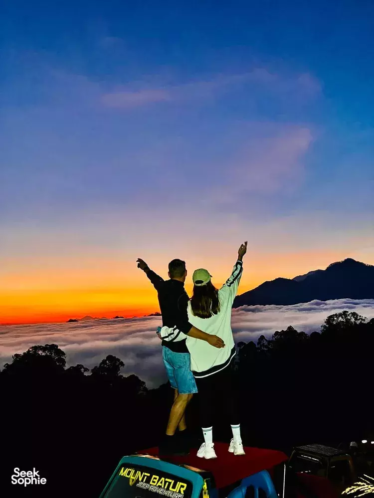 Seek Sophie option picture