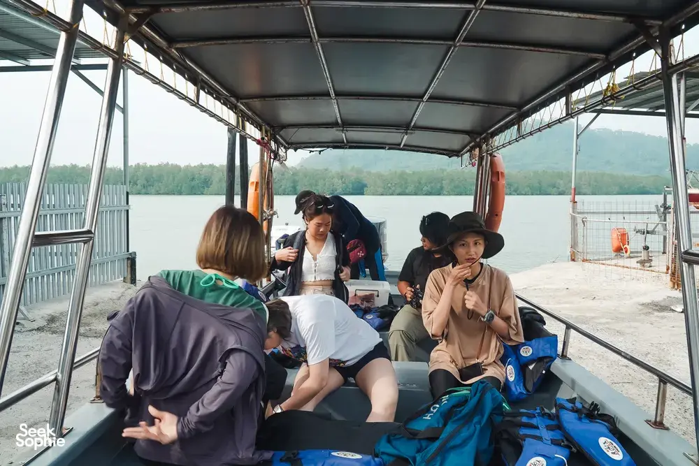 Seek Sophie option picture