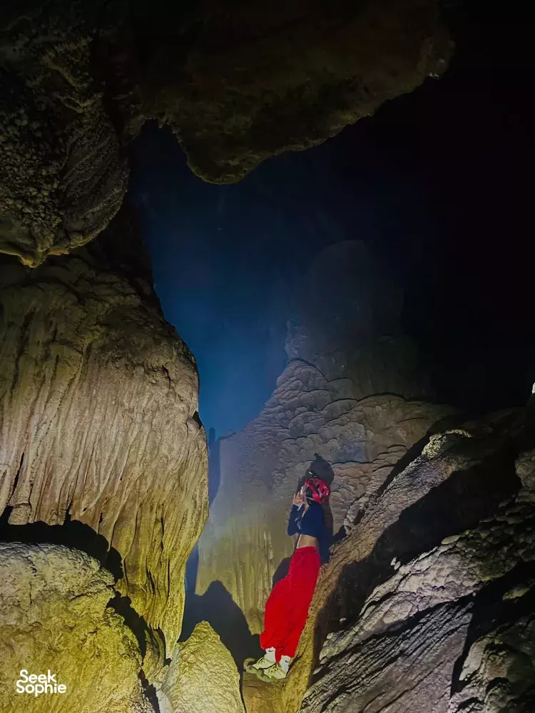 Seek Sophie option picture