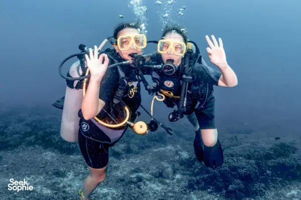 Coba Menyelam di Gili Trawangan | Tidak perlu pengalaman menyelam!