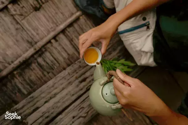 清道 2天1夜树屋度假 | 隐秘徒步 + 阿萨姆红茶体验