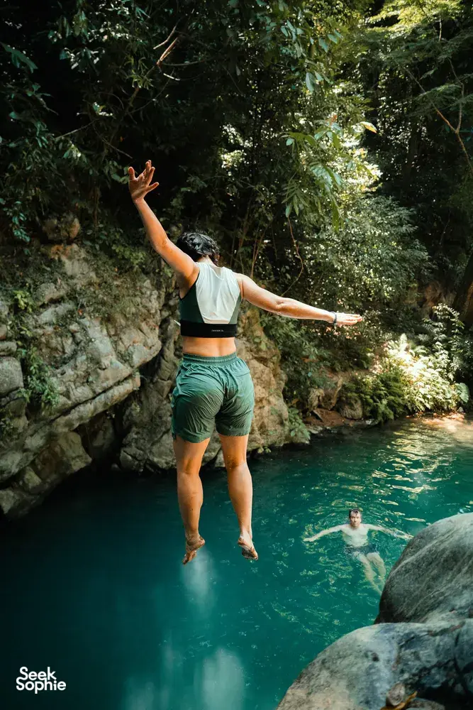 Seek Sophie option picture