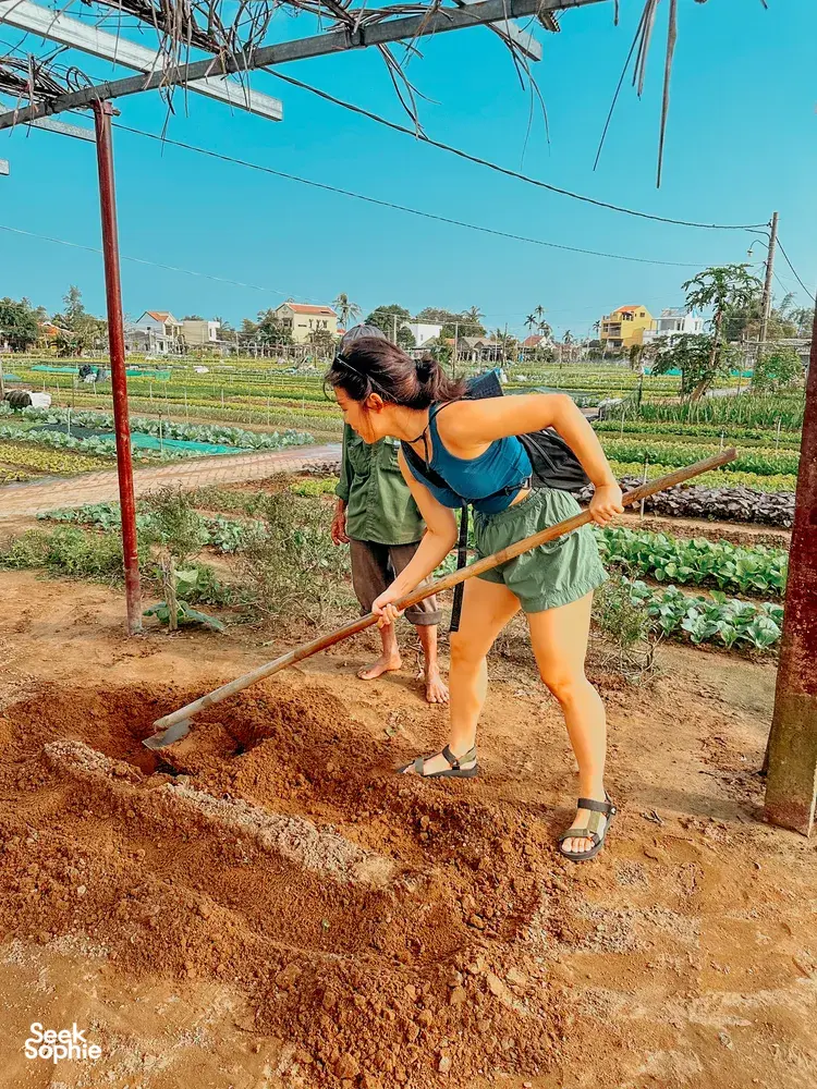 Seek Sophie option picture