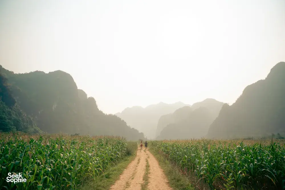 Dirt path through lush greenery flanked by karst hills in Phong Nha at sunrise, on a Greenland Tours 2D2N adventure