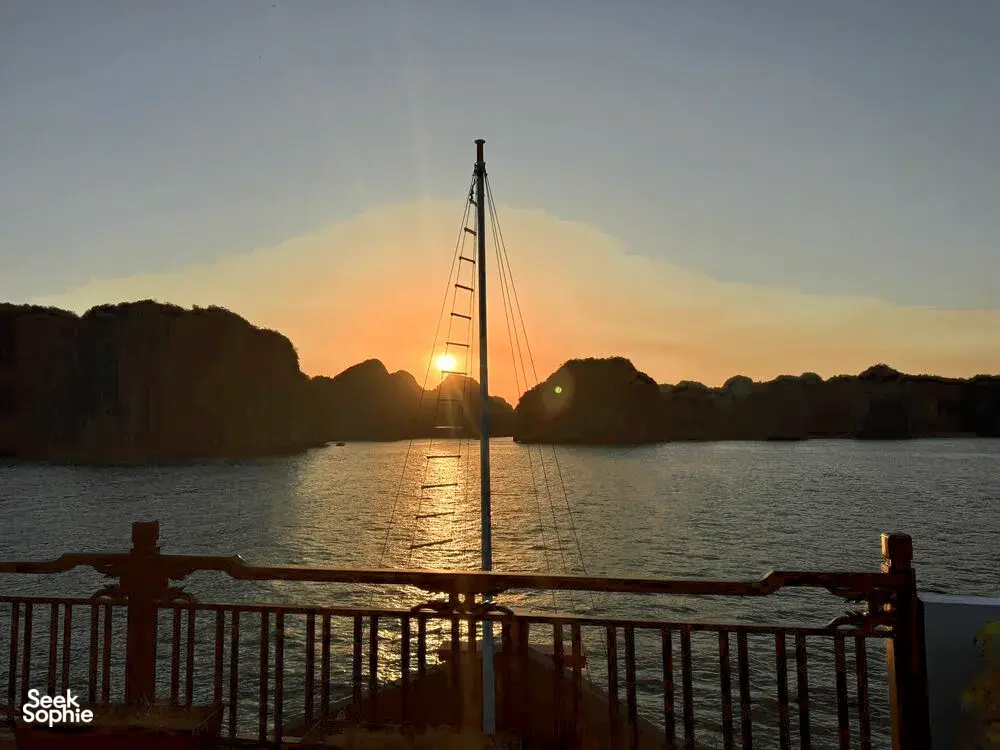 Seek Sophie option picture