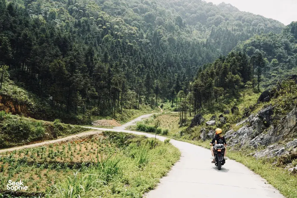 Mama's Easy Rider motorbike ride along a winding mountain road in Ha Giang, passing dense forest on a sunny day