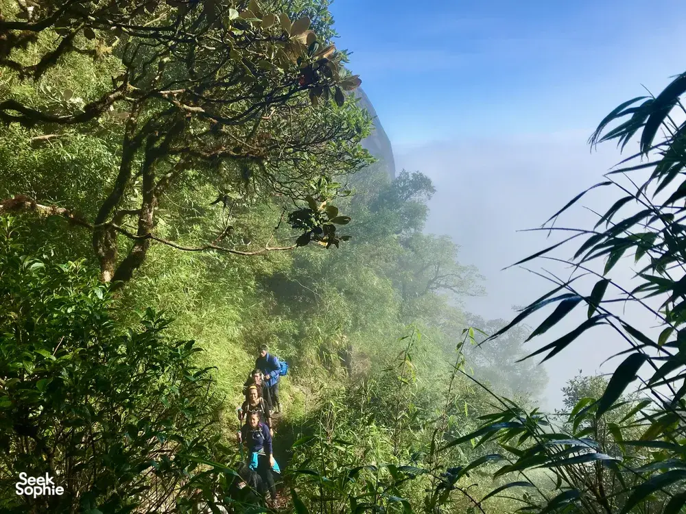 Seek Sophie option picture