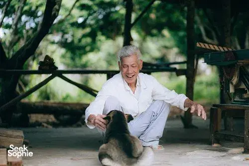 Seek Sophie option picture