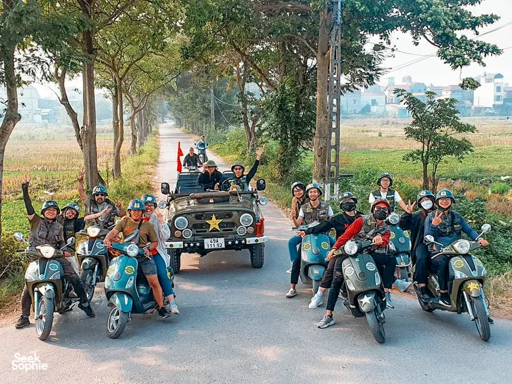 Seek Sophie option picture